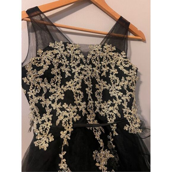 Tip Top Girls 12 Sleeveless Tulle Layer Formal Dress Gold Lace Applique Puffy - Picture 5 of 11